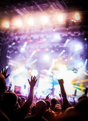 concert crowd