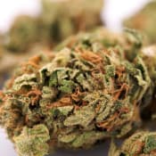 Craving a pot brownie? Now it's easier than ever to score cannabis in Colorado.