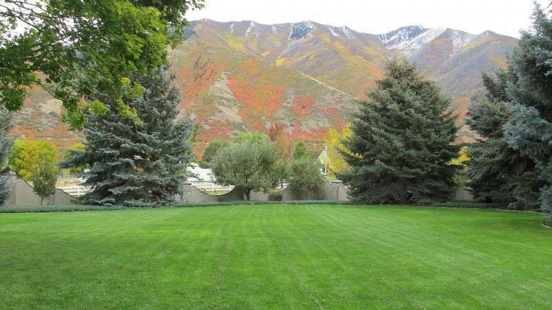 Maple Mountain Recovery Photo