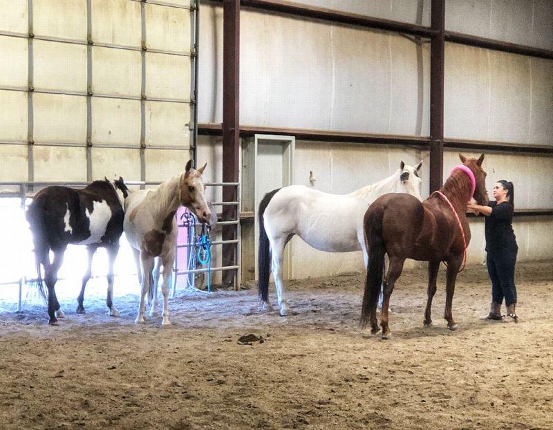 Maple Mountain Recovery Photo