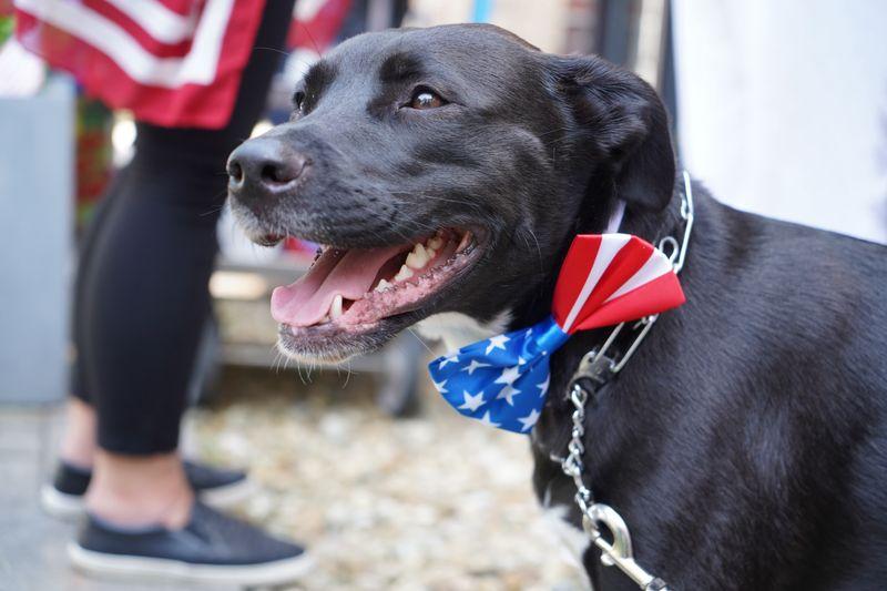 Bedrock Recovery Center Photo