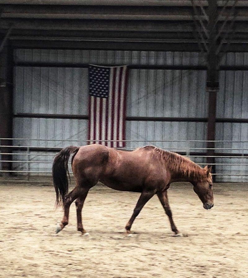 Maple Mountain Recovery Photo