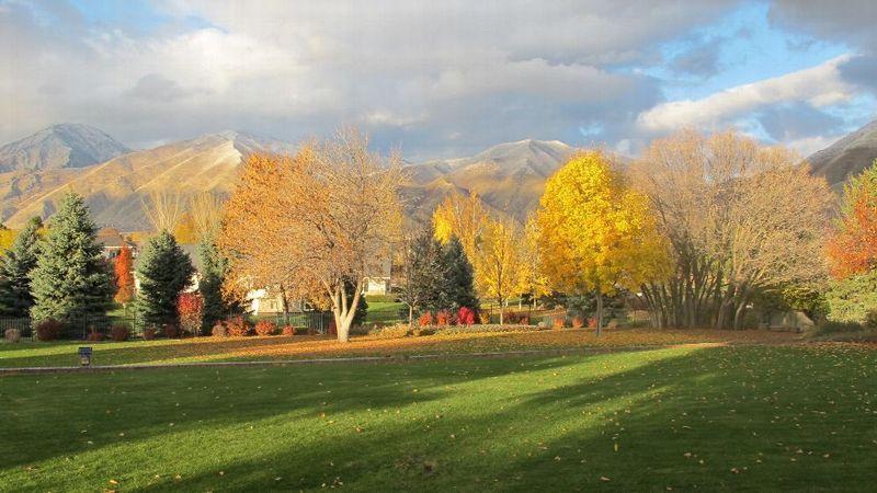 Maple Mountain Recovery Photo