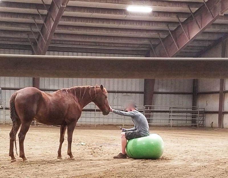 Maple Mountain Recovery Photo