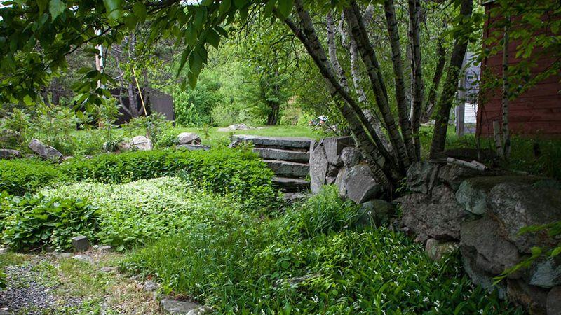 Spring Hill Recovery Center - Massachusetts Photo