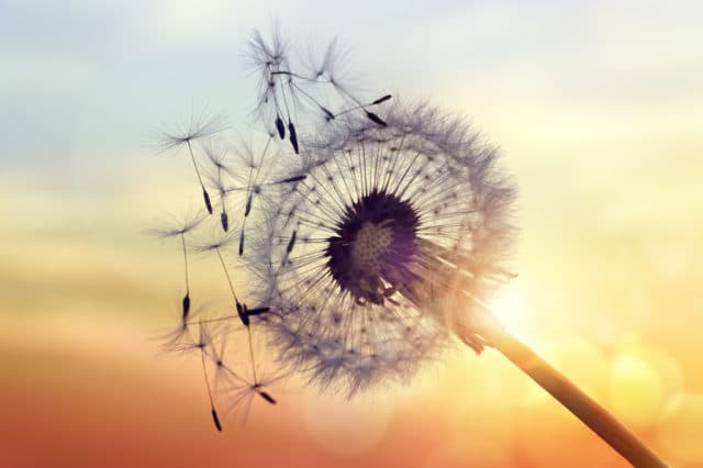 inspirational quotes to help you overcome addiction rehabs and