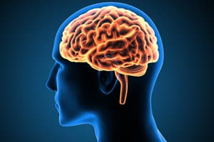 A Guide To Tramadol Abuse And Addiction